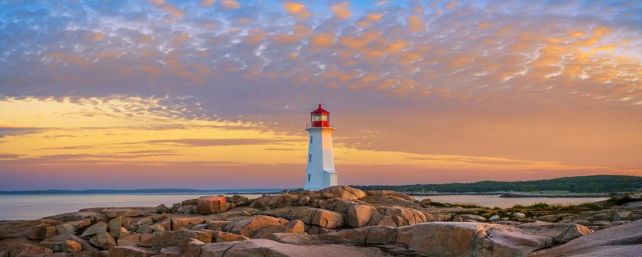 Cover media image