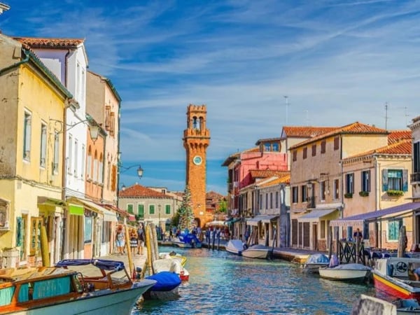 Cover media image