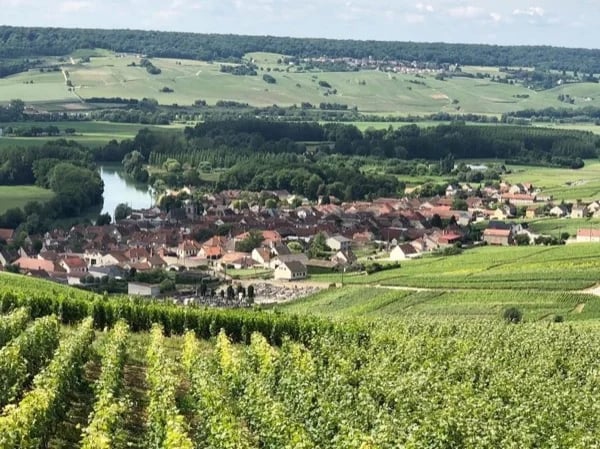 Champagne Private Tour from Paris
