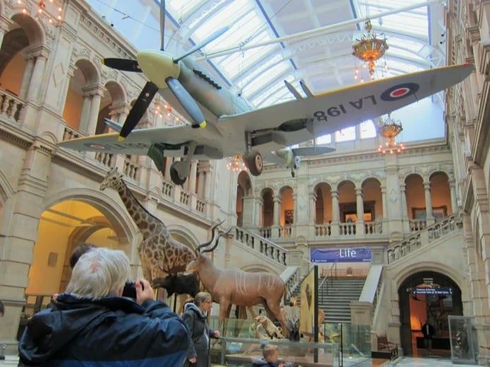 Douglas B.'s gallery