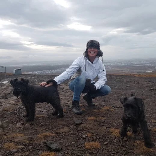 Reynisvatn hike