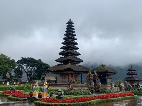 Cover media image