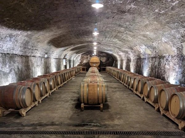 Wine tour in Rhône Valley, discover the best of this unique terroir with your local guide