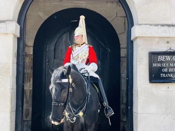 London Highlights - Welcome to London!