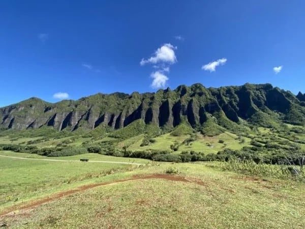 Pearl Harbor & Hawaii's North Shore - Full Day Shore Excursion