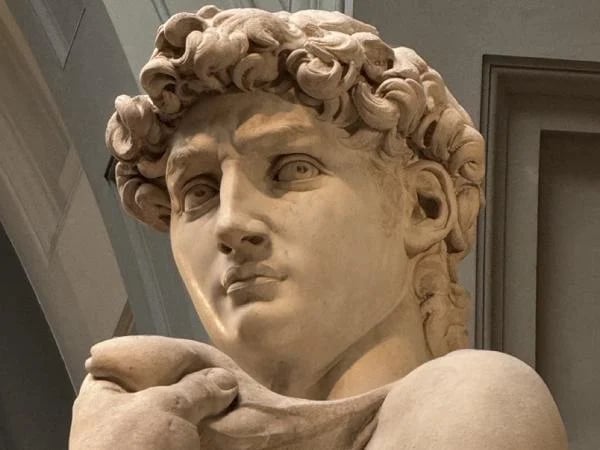 The Accademia Gallery of Florence - Half Day Private Tour