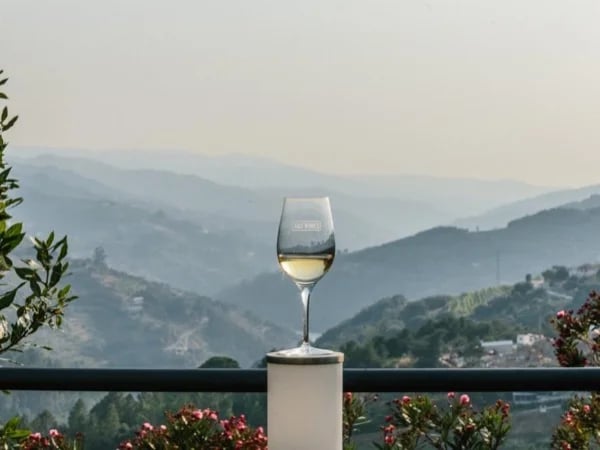 Vinho Verde Full-Day Premium Wine Tour