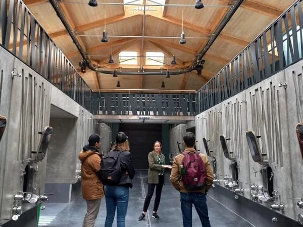 Médoc and Saint-Emilion full day tour: the best of Bordeaux wines