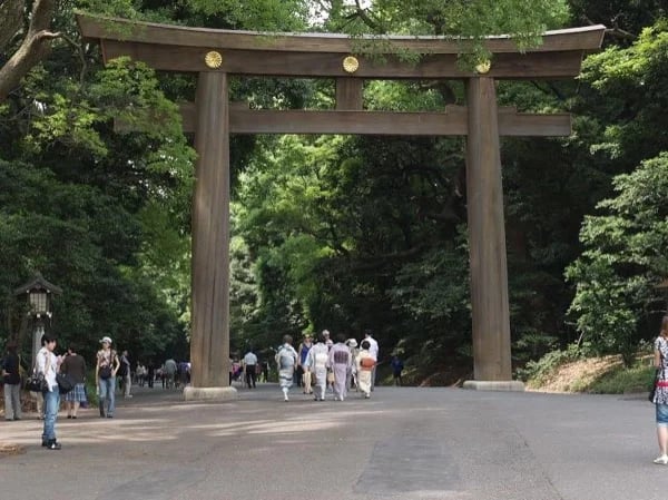 6-hours all inclusive Tokyo Tour visiting Asakusa, Harajuku and Tsukiji fish market or off the beaten tracks.