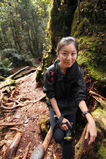 Mossy forest at Mount Irau