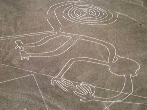 Nazca Lines Tour Full Day Experience