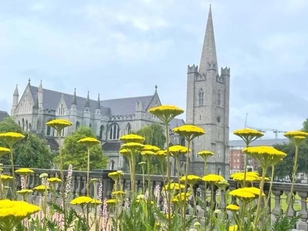 A half day tour of Dublin on foot!