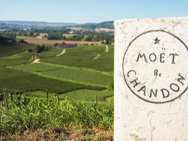 A Taste of Champagne Region in a Private full day Guided Tour