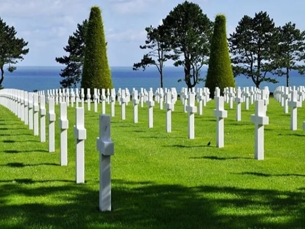 Cover media image