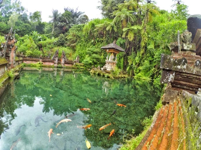I Nyoman S.'s gallery