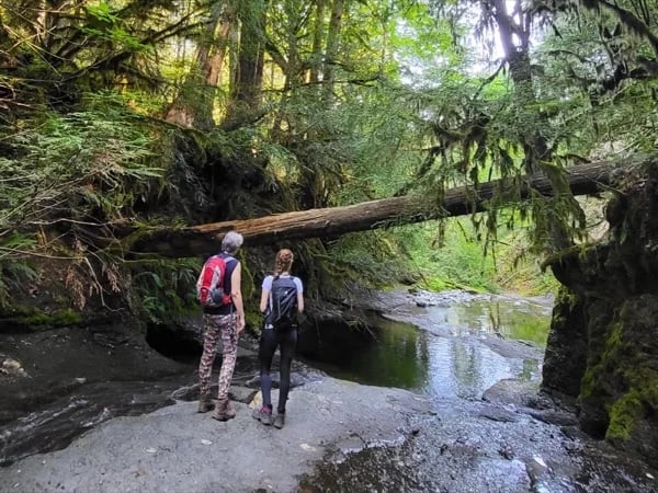 Ammonite Falls Hike - Express Private Tour in Nanaimo