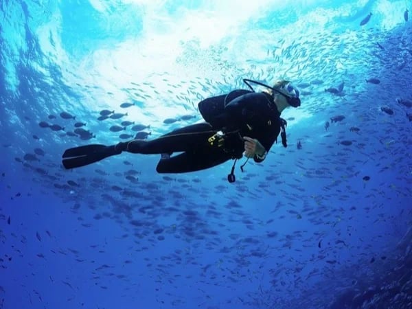 Scuba Diving in Cabo San Lucas Marine Park - Half-Day Shore Excursion