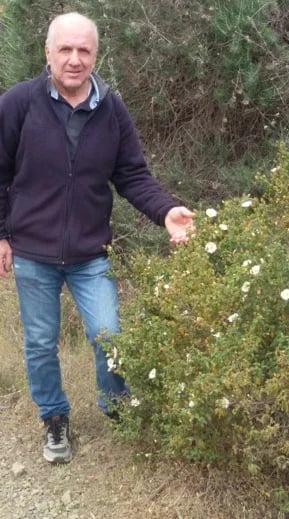 Endemic flowers of Cyprus