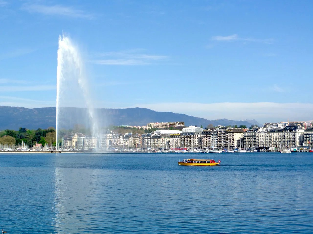 Cover media image