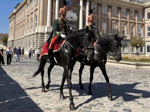 Private Walking Tour of the Buda Castle