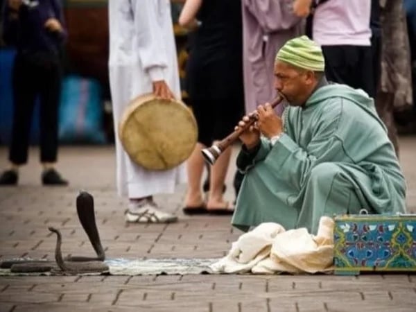 Marrakech Magic