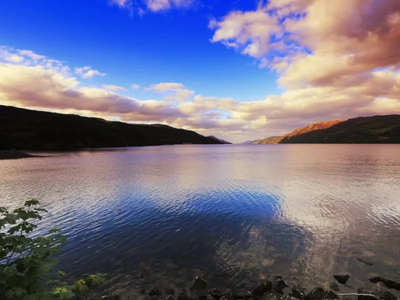 Cover media image