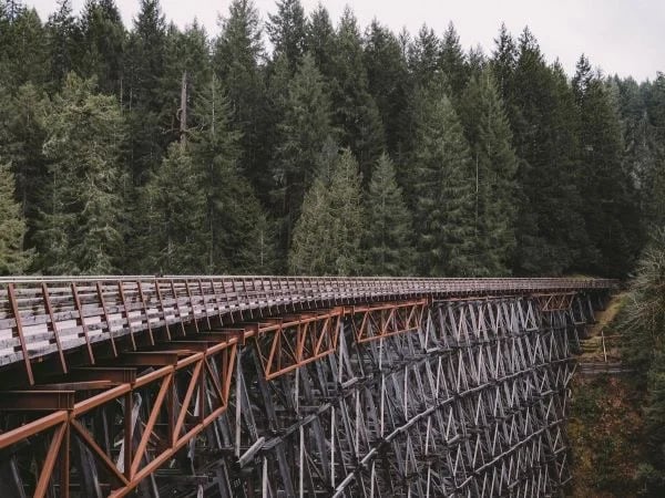 The Kinsol Trestle is one of eight trestles along the Cowichan Valley and is one of the tallest free-standing and most spectacular timber rail trestle structures in the world. 187 metres in length and stands 44 metres.