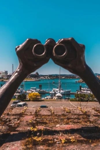 Bronze binoculars peering into the Inner Harbour