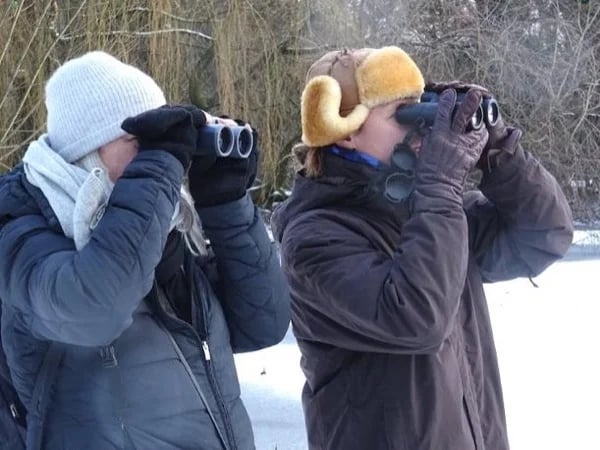 Amsterdam Birdwatching Experience