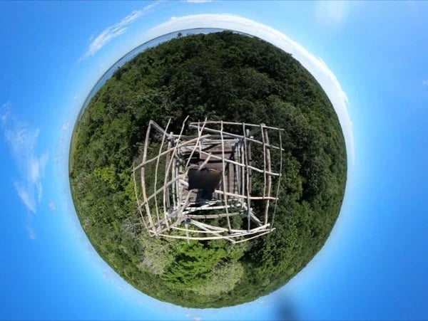 Cover media image