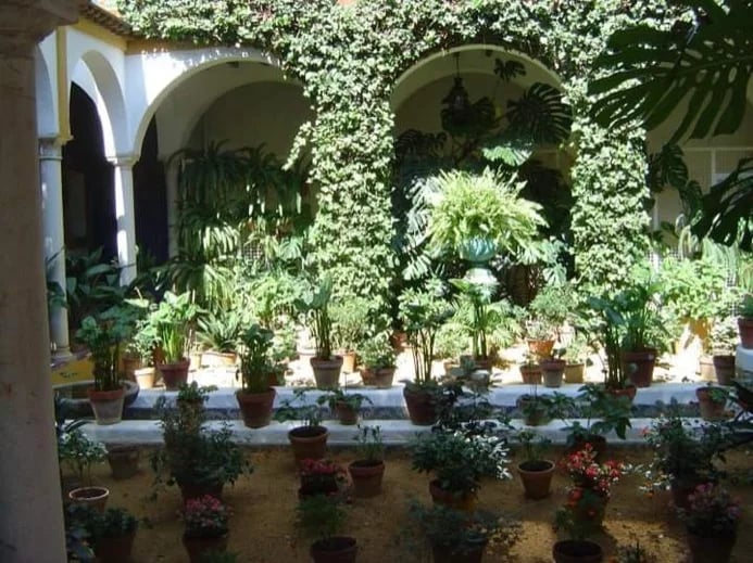 PATIO AT THE JEWISH QUARTER, SEVILLE.