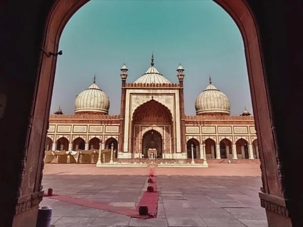 Old Delhi - Half Day Private Tour