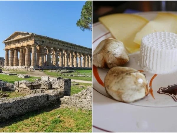 Paestum: A Journey Between Greek Temples & Buffalo Mozzarella Farm Shore Excursion