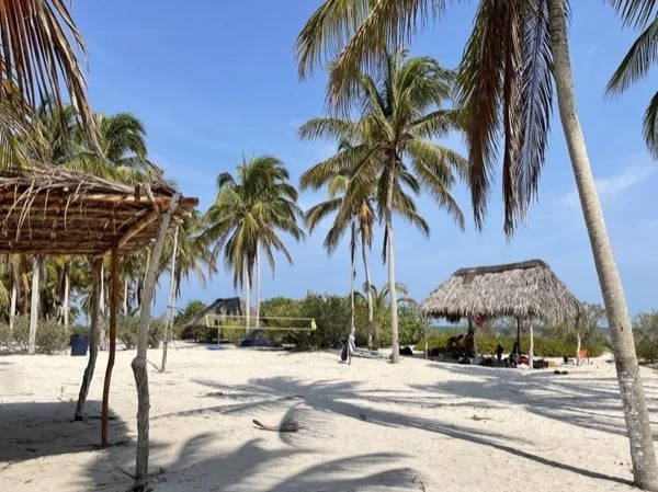 Cover media image