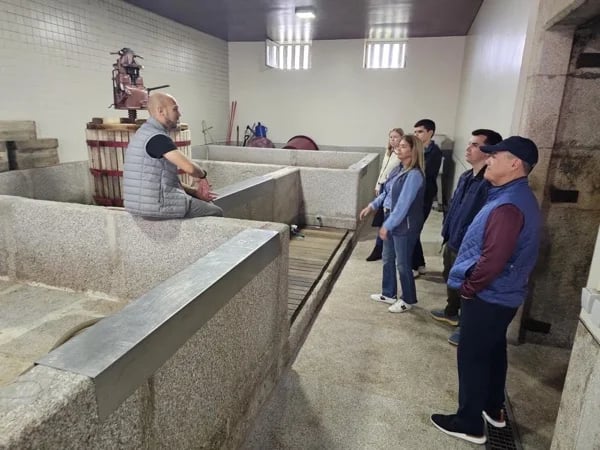 Vinho Verde and Douro Valley Tour