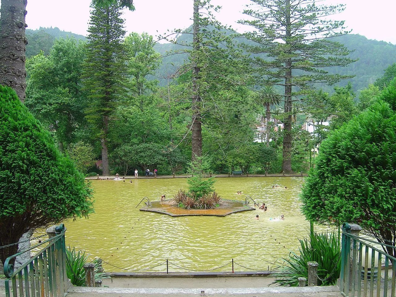 Cover media image