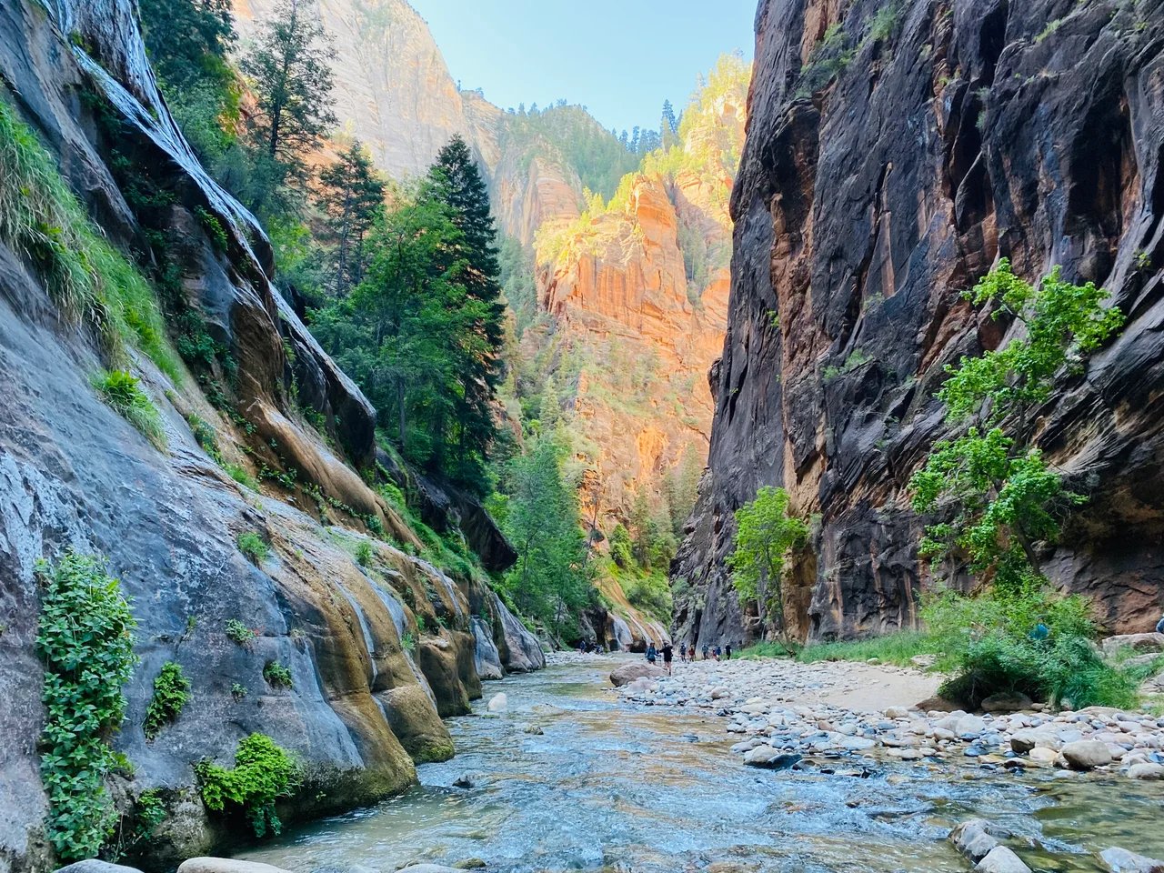 Cover media image