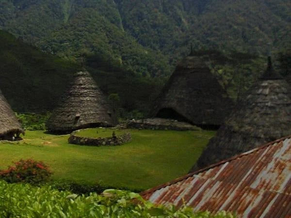 Wae Rebo Traditional Village Tour