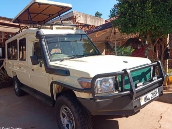 Mabamba swamp tour