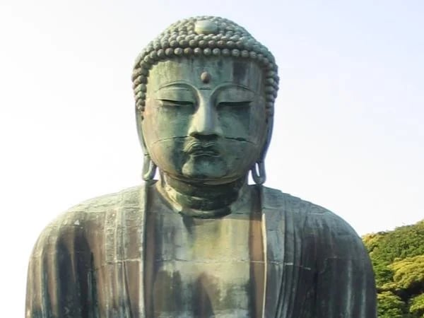 Cover media image