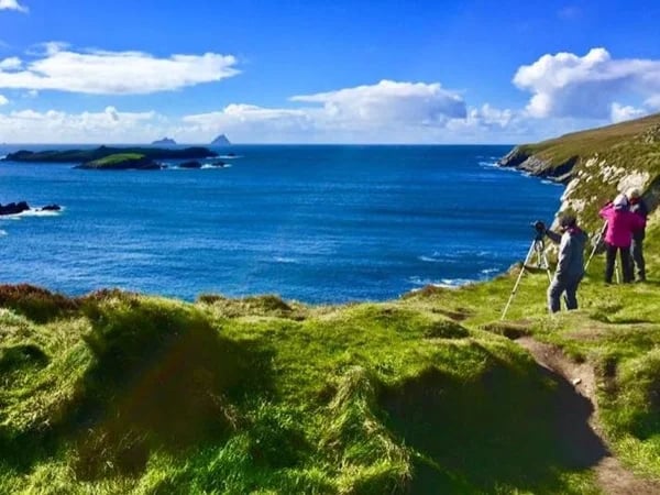 Ring of Kerry & Skellig Ring Day Tour - Private Tour