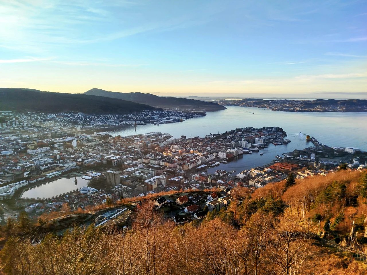 Cover media image