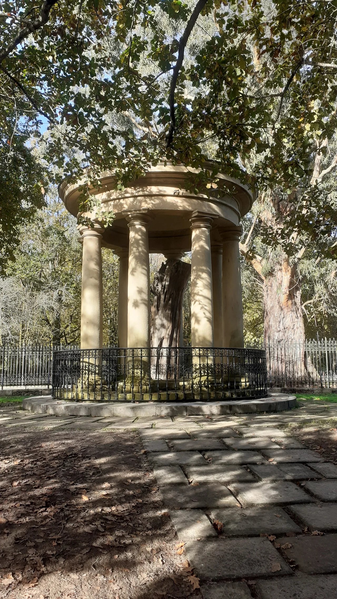 Cover media image