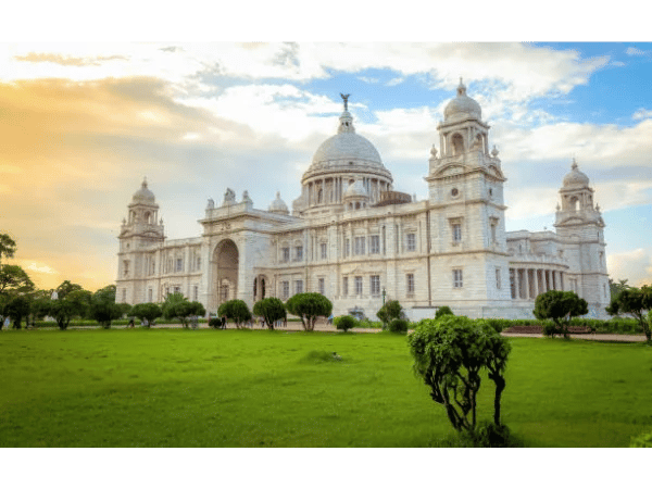 Cover media image