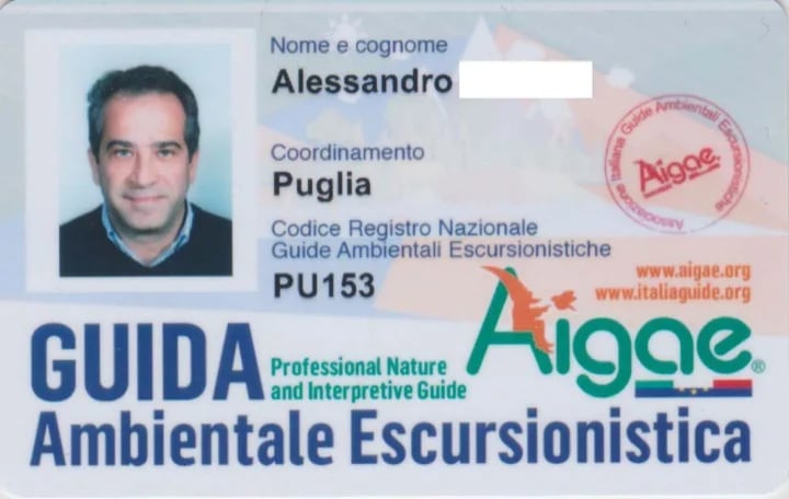 Alessandro P.'s gallery