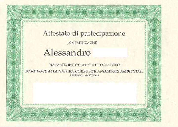 Alessandro P.'s gallery