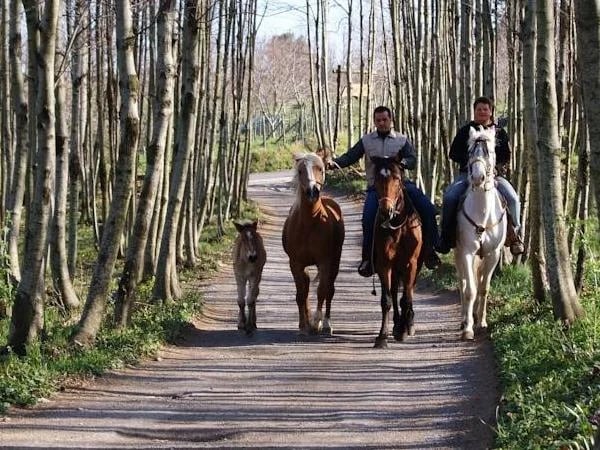 A 6 hour Tour in a Family Farm of Agerola, Amalfi Coast
