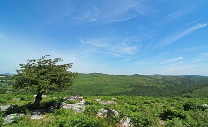 Beautiful Devon scenery