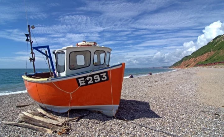 Our wonderful coastline in Devon