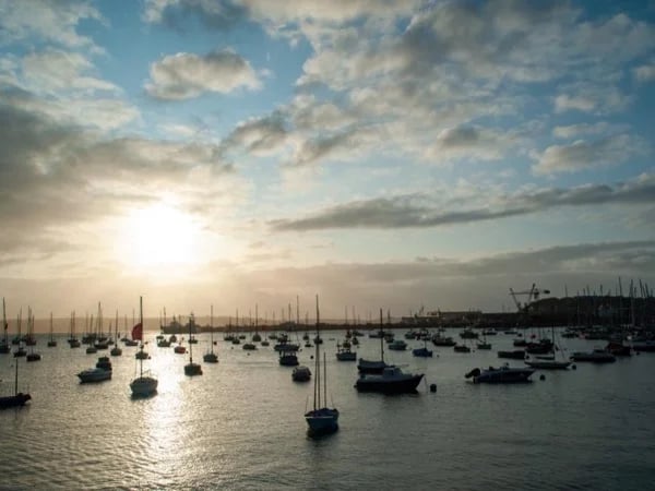 Cover media image